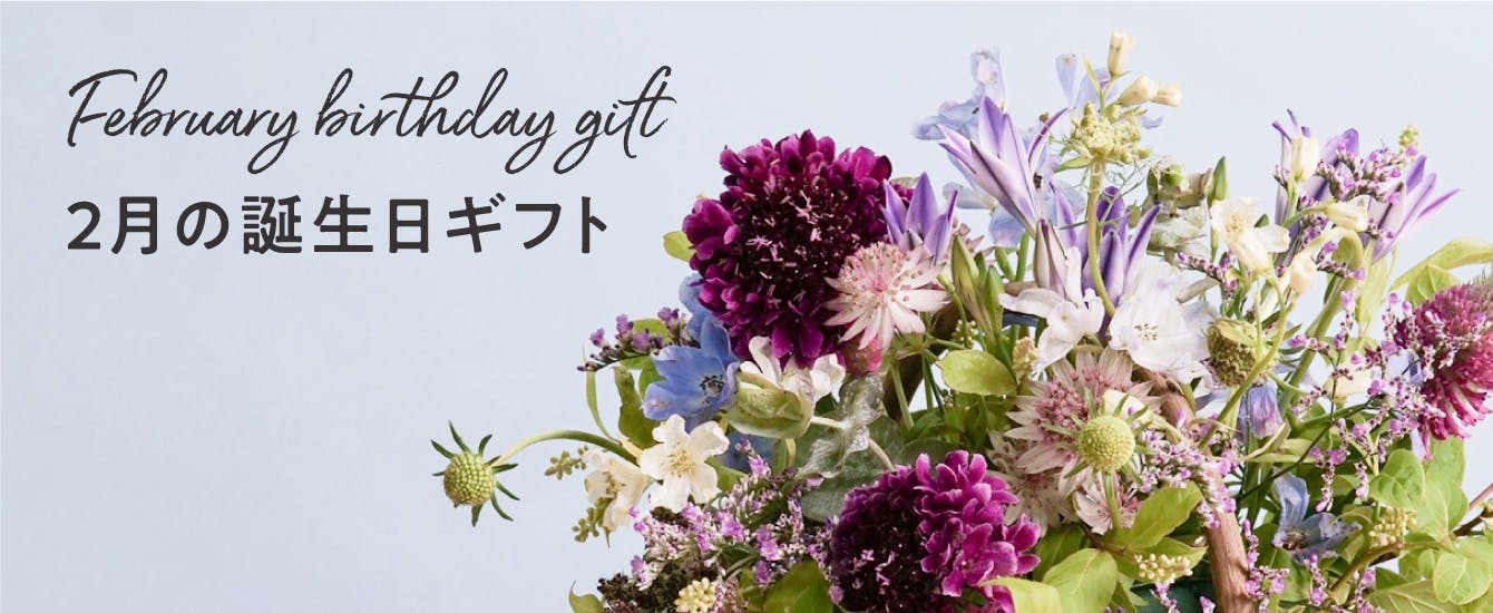 2月の誕生花 - お花と植物のギフト通販 HitoHana（ひとはな）