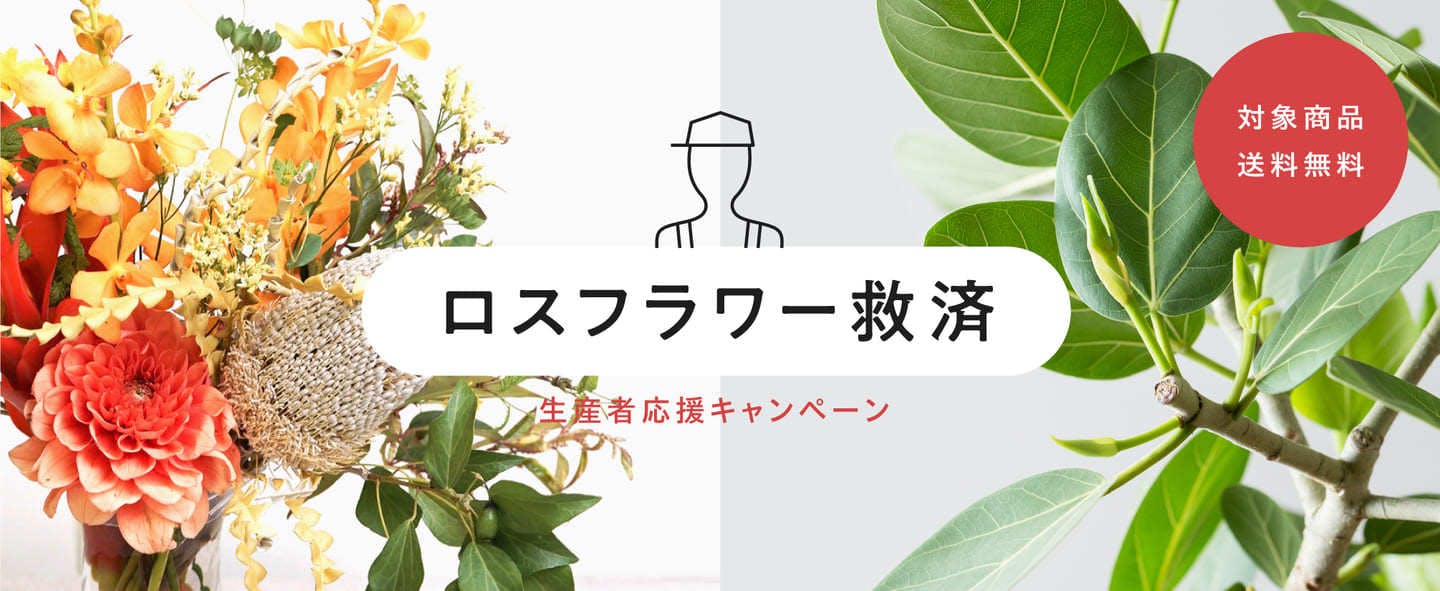 ロスフラワー救出 送料無料キャンペーン Hitohana ひとはな ロスフラワー救出 送料無料キャンペーン Hitohana ひとはな