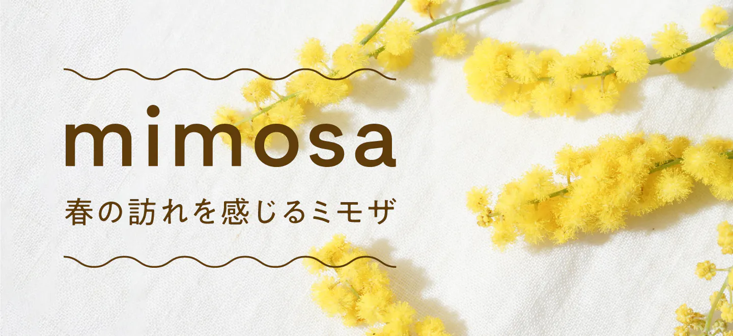 ミモザのギフト | お花の通販HitoHana（ひとはな）