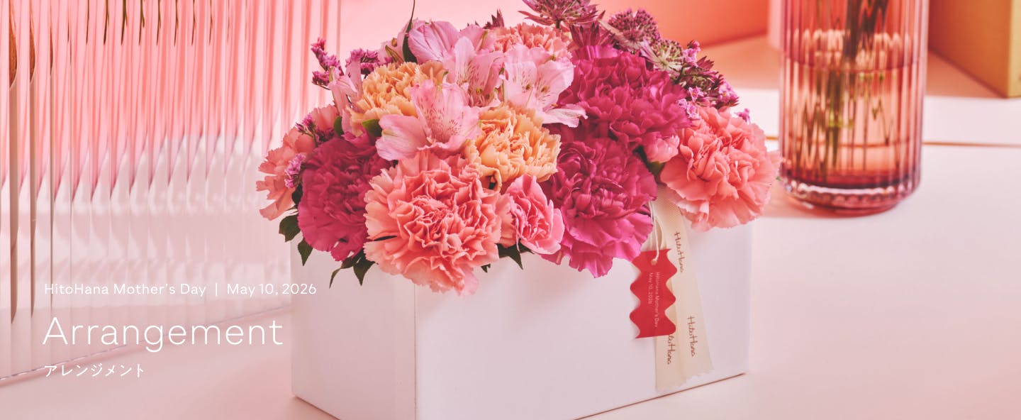 母の日 アレンジメント | フラワーギフトならHitoHana（ひとはな）