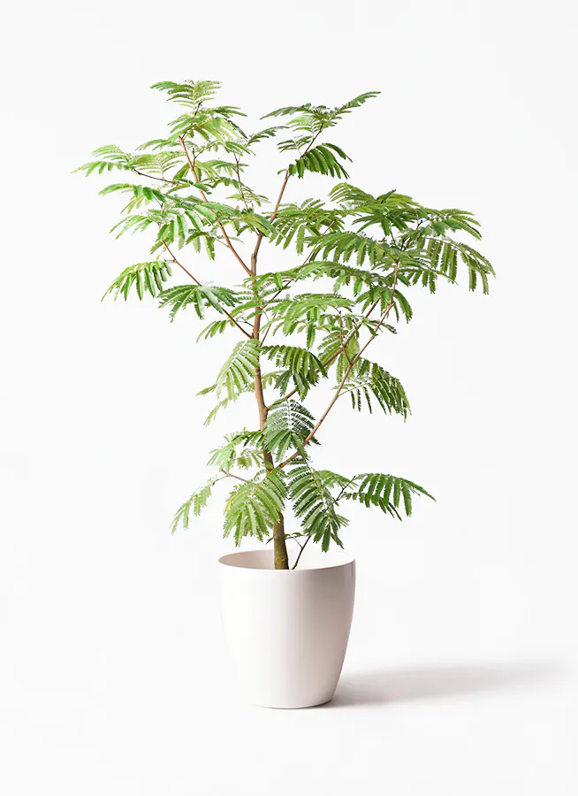 人工観葉植物 フェイクグリーン 140cm 観葉植物 緑 リアル 大型観葉 