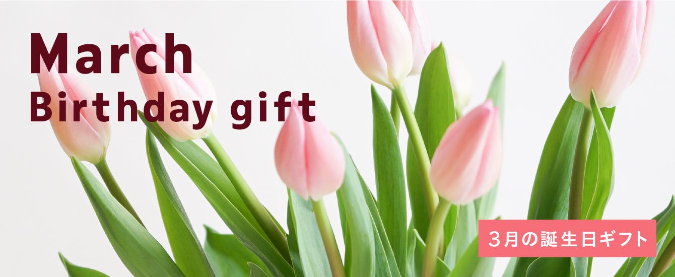 3月の誕生日ギフト - お花と植物のギフト通販 HitoHana（ひとはな）