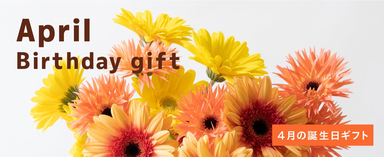 4月の誕生日ギフト - お花と植物のギフト通販 HitoHana（ひとはな）