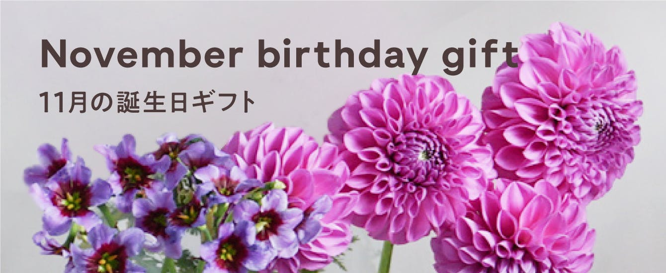 11月の誕生日ギフト - お花と植物のギフト通販 HitoHana（ひとはな）