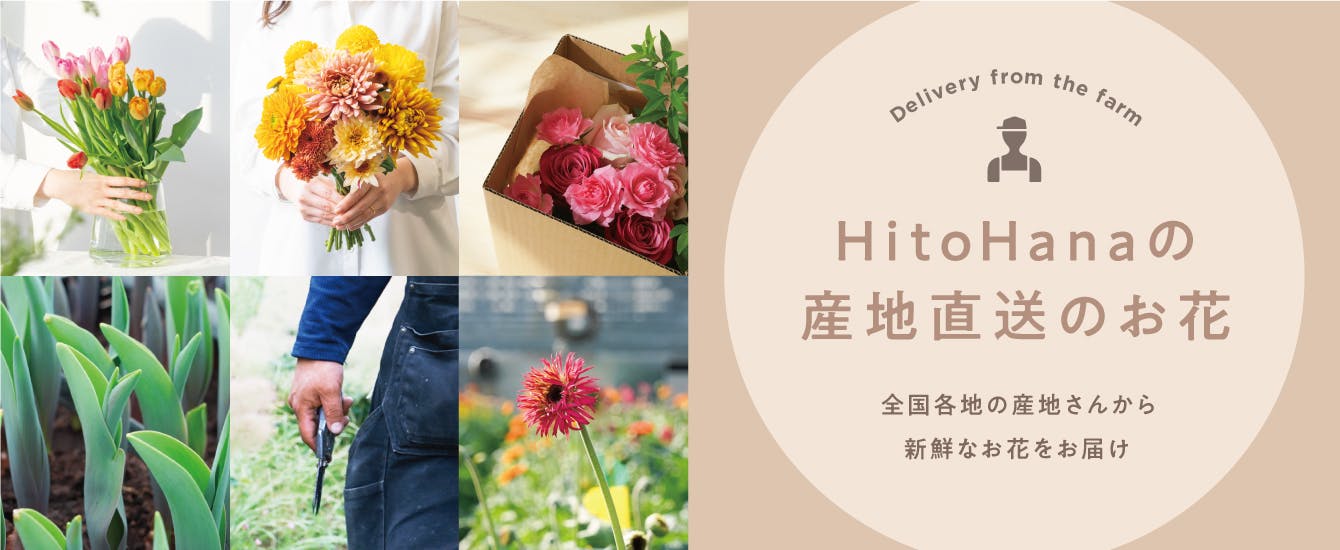 HitoHana 産地直送のお花 | HitoHana（ひとはな）
