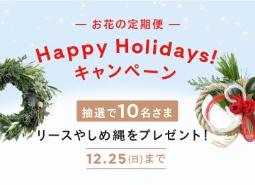 お花の定期便 "Happy Holidays!" キャンペーン