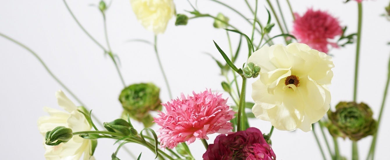 ラナンキュラスのアレンジメント | フラワーギフトならHitoHana