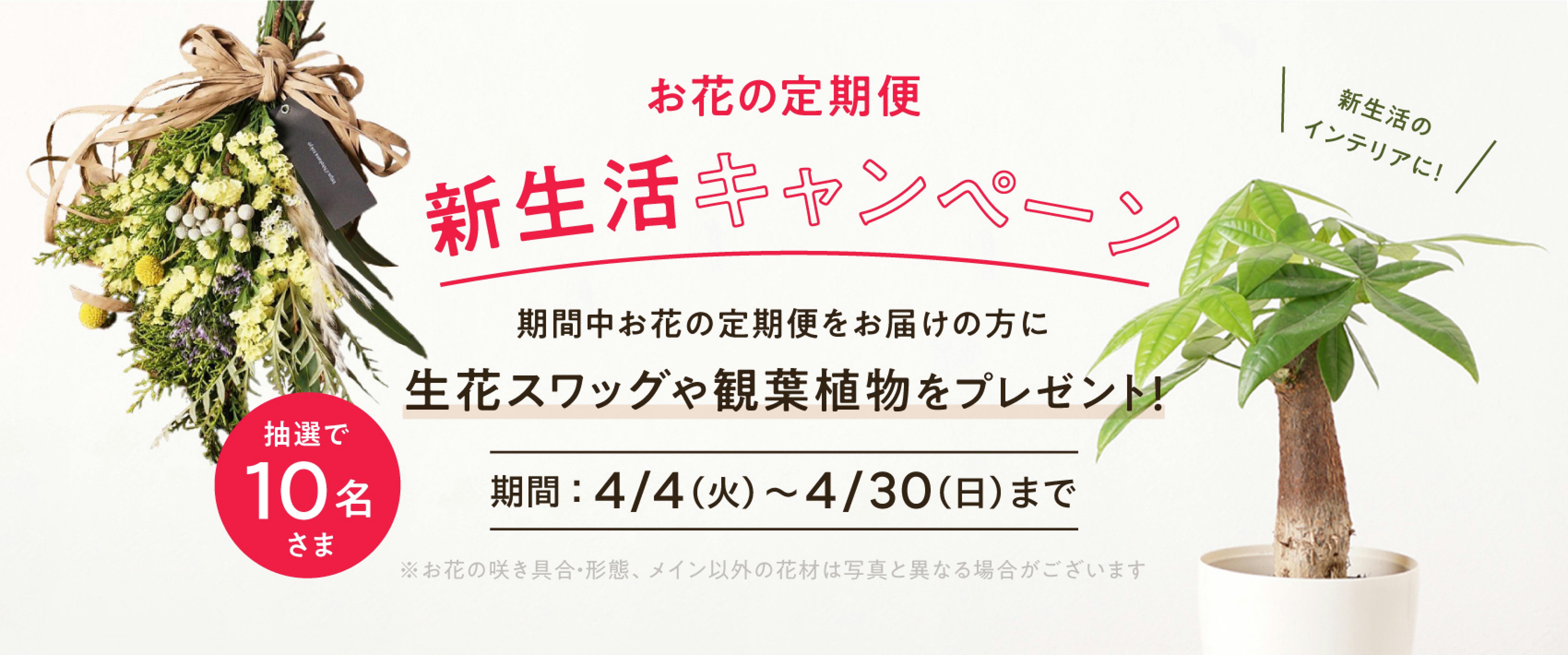 お花の定期便 新生活キャンペーン2023 |