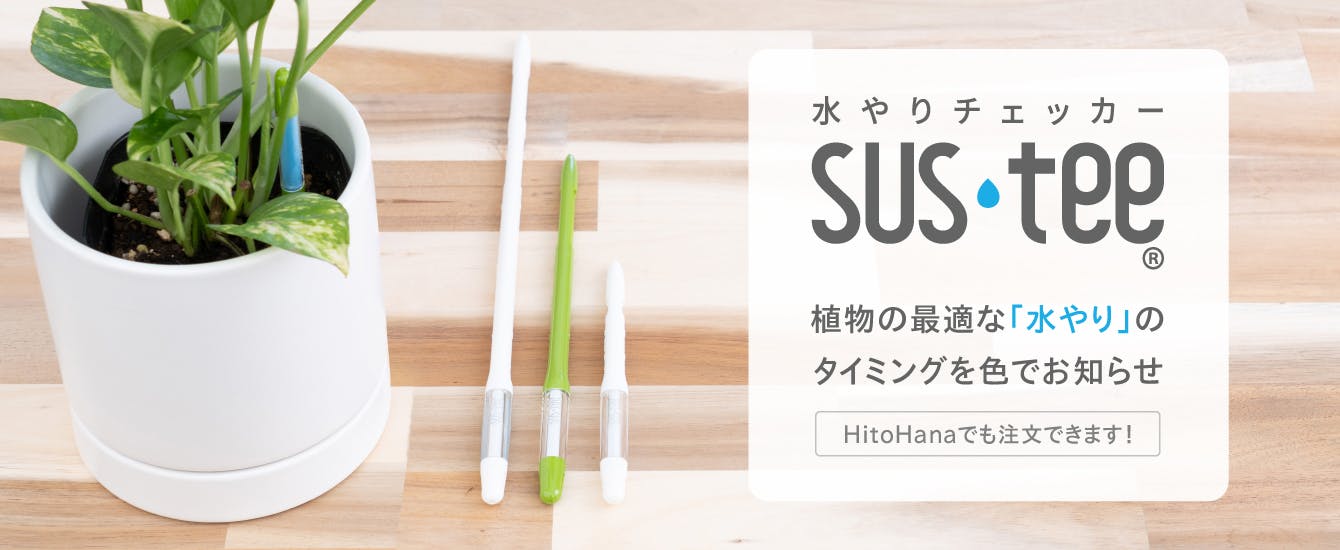 水やりチェッカー サスティー （SUSTEE) | 観葉植物ならHitoHana