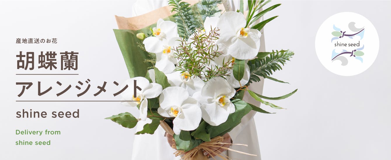 油彩　花瓶に花　最終お値下げしました！ seica_utsuwa 独特な曲線をかたどったシルエットがポイントの