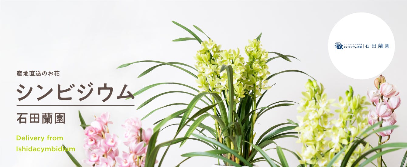 産地直送 石田蘭園 | HitoHana（ひとはな）