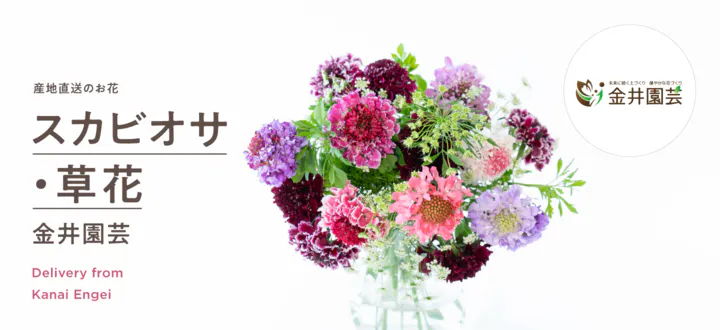 花農家直送！！こちらはご予約専用ページです❀ 産地直送の花（花農家直送）｜お花と観葉植物のオンライン宅配ショップ