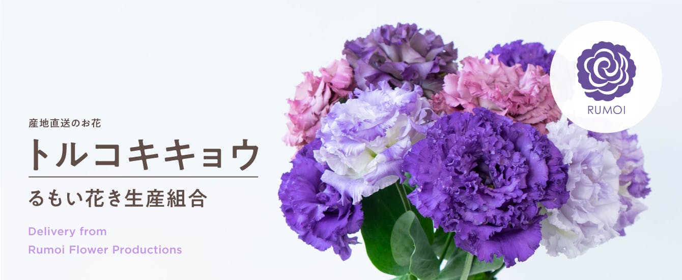産地直送 るもい花き生産組合 トルコキキョウ 花束 | HitoHana（ひとはな）