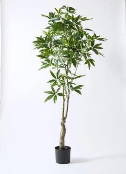 フェイクグリーン（造花） | 観葉植物の通販ならHitoHana（ひとはな）