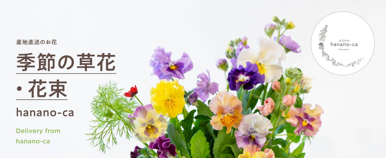 産地直送 hanano-ca 季節の草花 花束 | HitoHana（ひとはな）