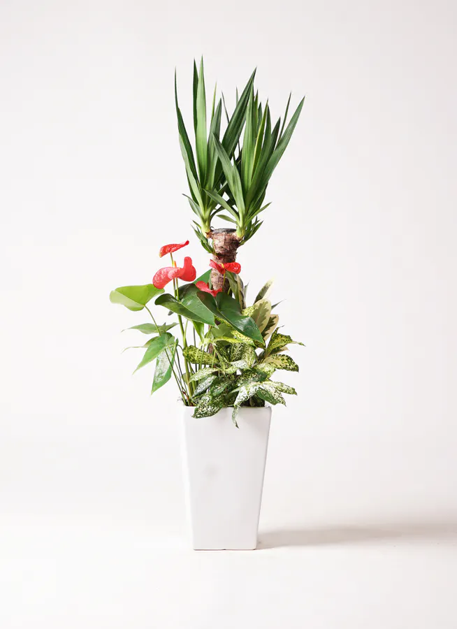 自己満足でもいいスワッグ50cm （再販』気持ち華やぐ*✲ﾟイエロー 