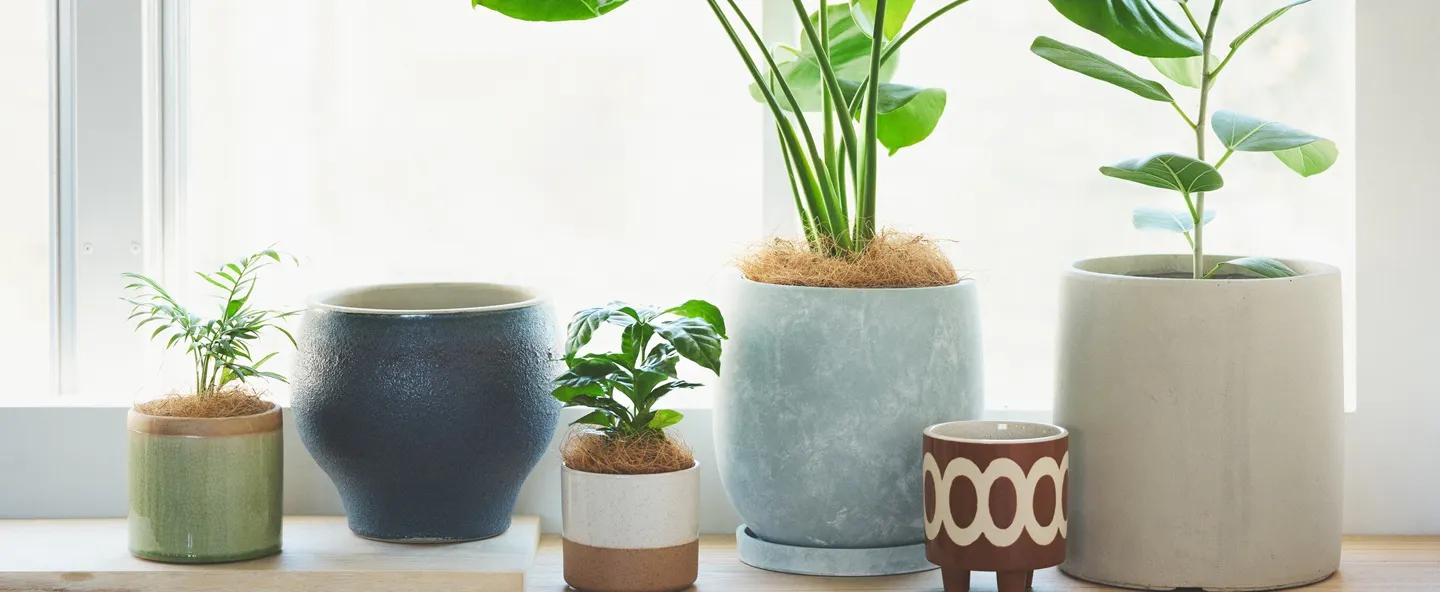 楽天市場】【最大500円クーポン】 植木鉢 プランツポット 4号鉢 