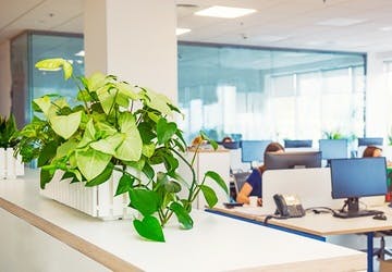 観葉植物 オフィス