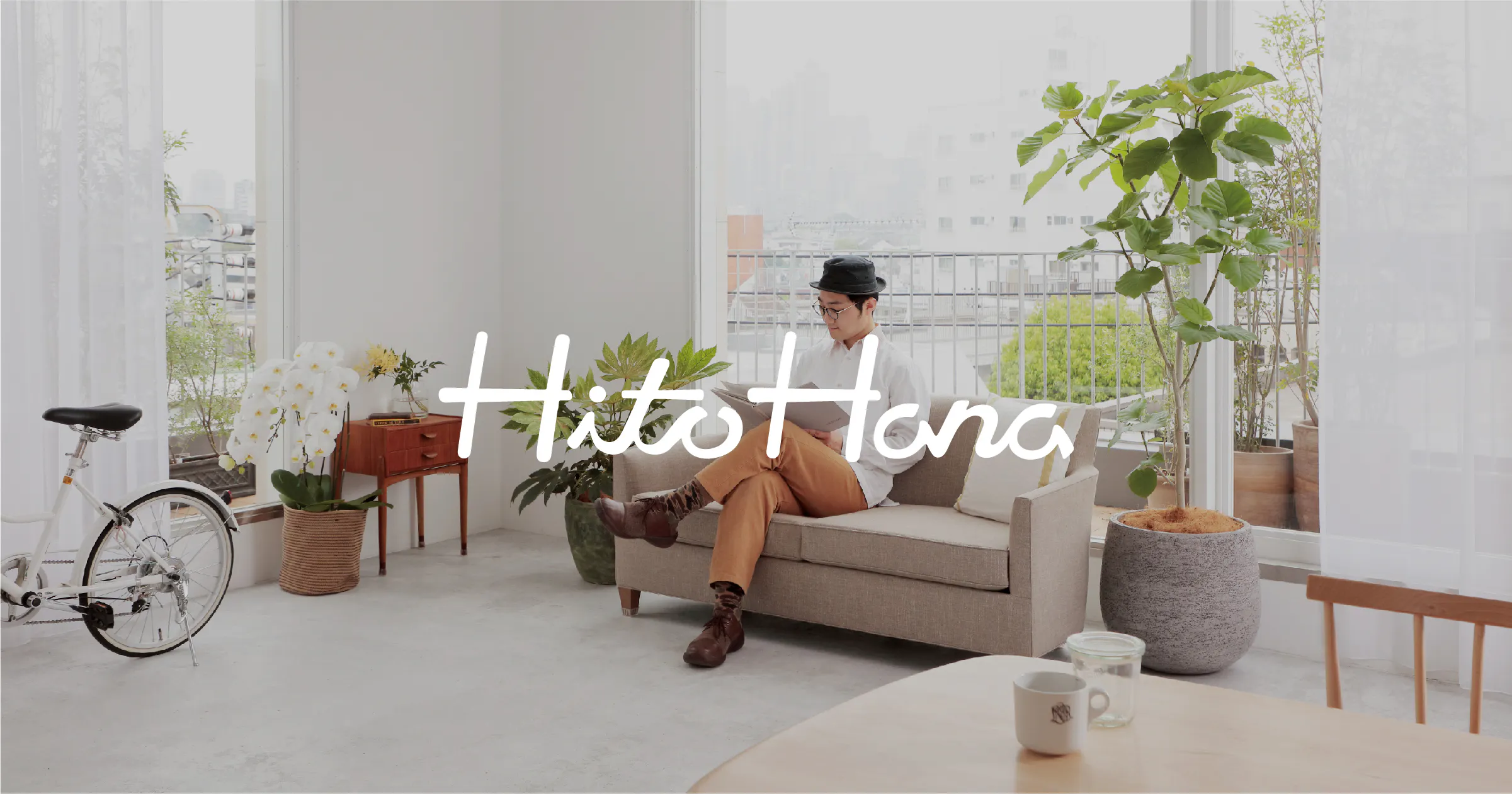 胡蝶蘭の贈り方から育て方まとめノート ｜ ひとはなノート