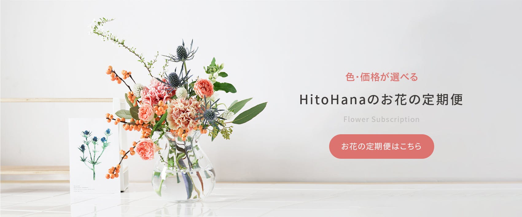 Hitohana ひとはな あなたにぴったりの植物のある暮らし