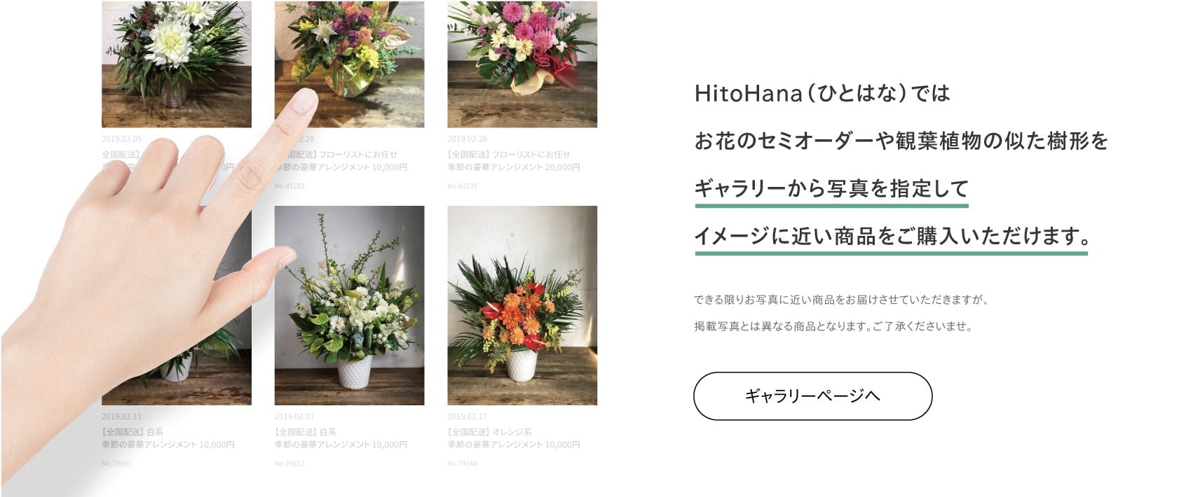 Hitohana ひとはな あなたにぴったりの植物のある暮らし