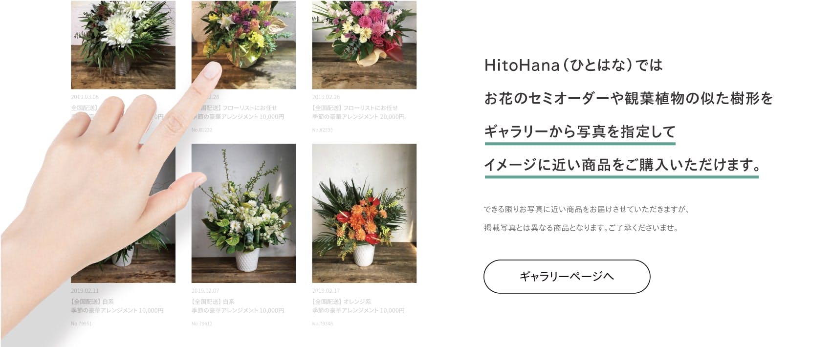 Hitohana ひとはな あなたにぴったりの植物のある暮らし Hitohana ひとはな あなたにぴったりの植物のある暮らし