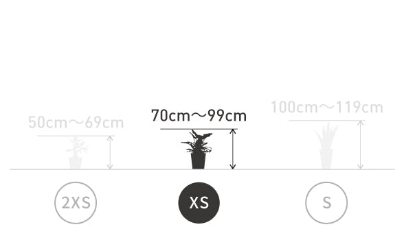 サイズ目安 XS 70〜99cm