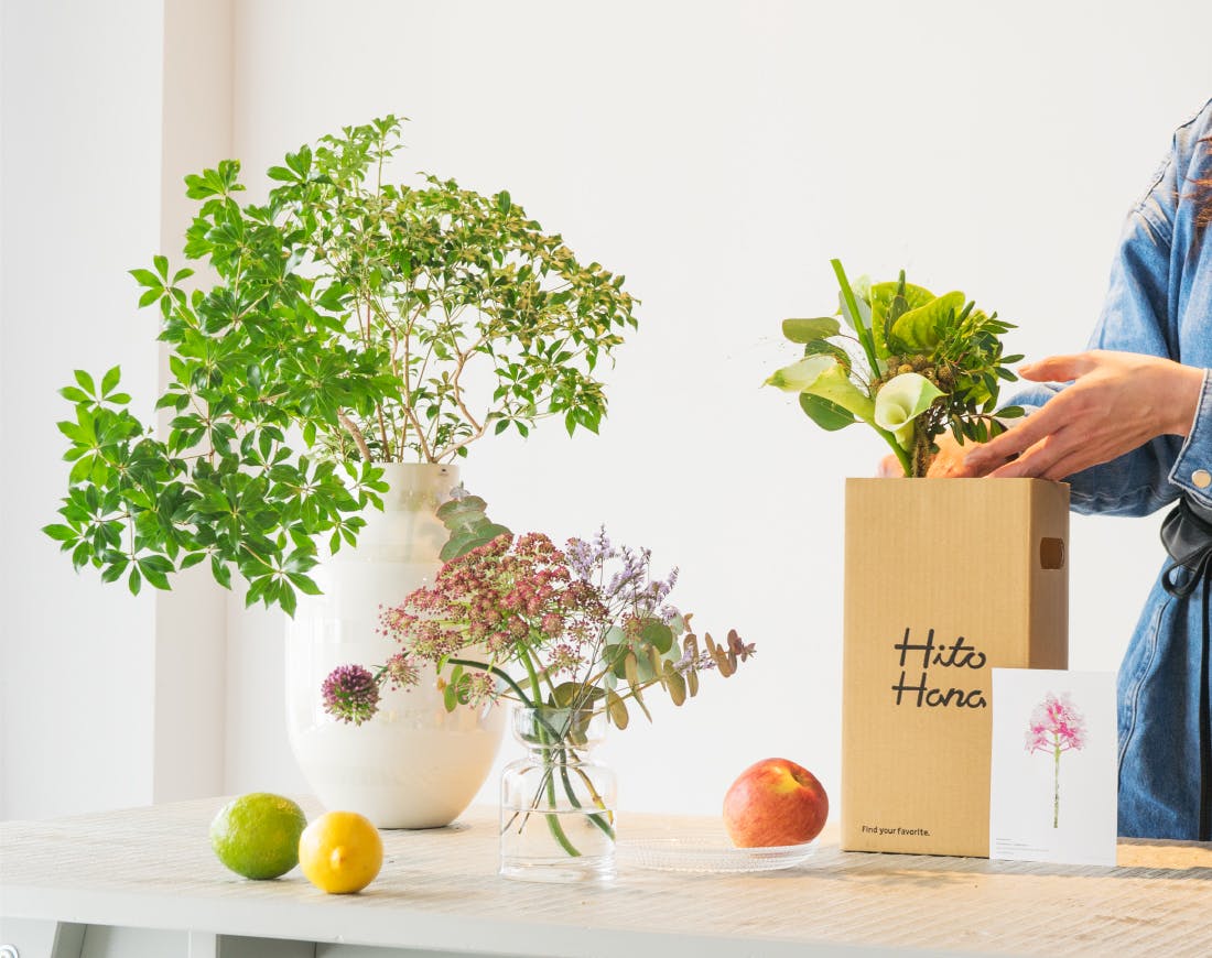 Pokoさま専用 2枚クール便